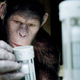 Caesar, played by Andy Serkis, in Rise of the Planet of the Apes.